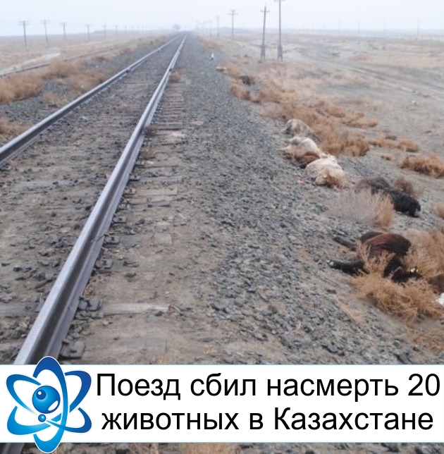 ����� ���� �������� 20 �������� � ����������