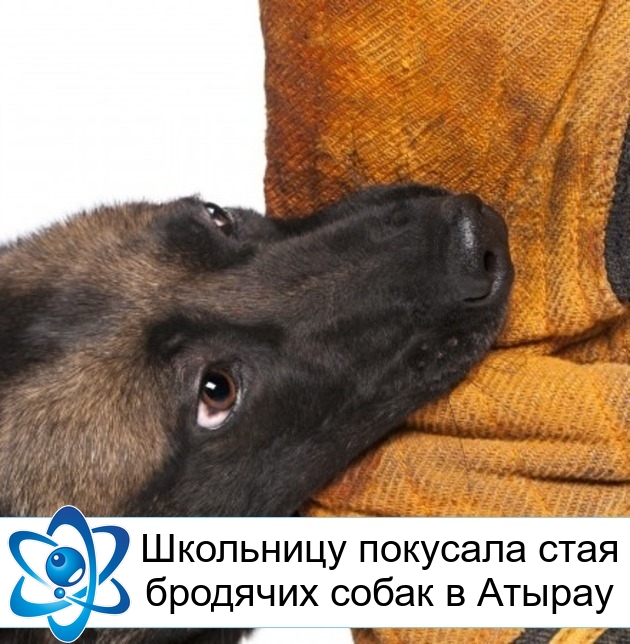 ��������� �������� ���� �������� ����� � ������