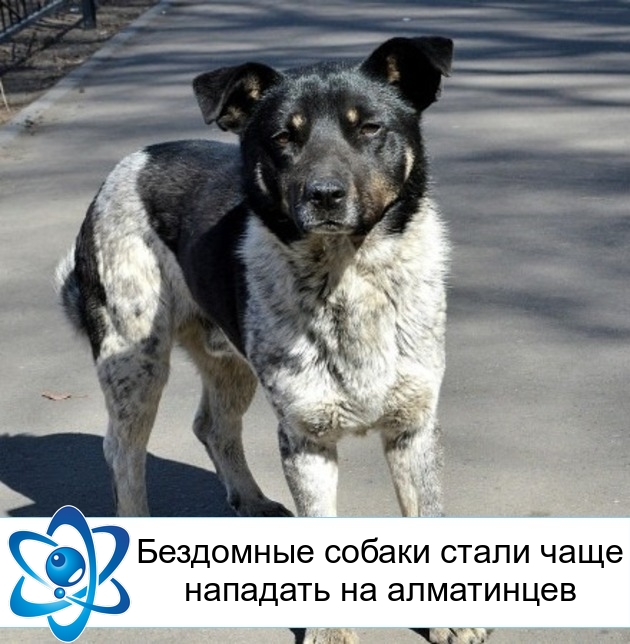 ��������� ������ ����� ���� �������� �� ����������