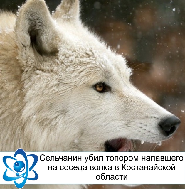 ��������� ���� ������� ��������� �� ������ ����� � ������������ �������