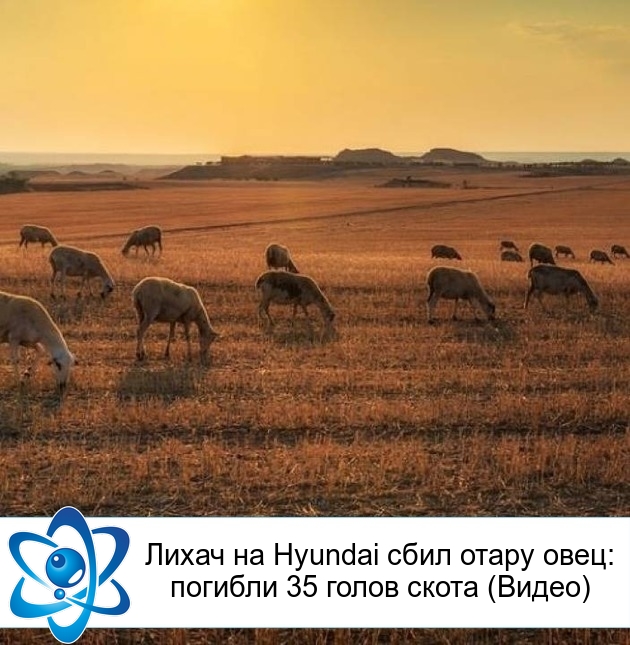 ����� �� Hyundai ���� ����� ����: ������� 35 ����� ����� (�����)