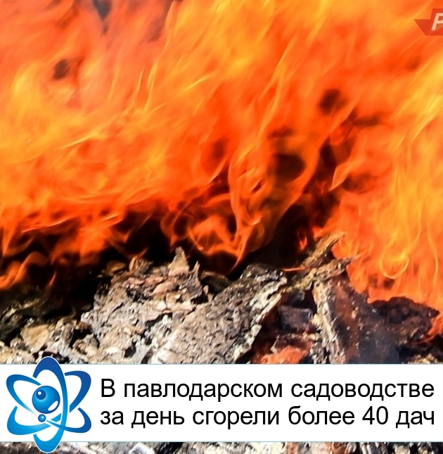 � ������������ ����������� �� ���� ������� ����� 40 ���