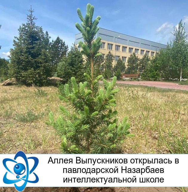 ����� ����������� ��������� � ������������ ��������� ���������������� �����