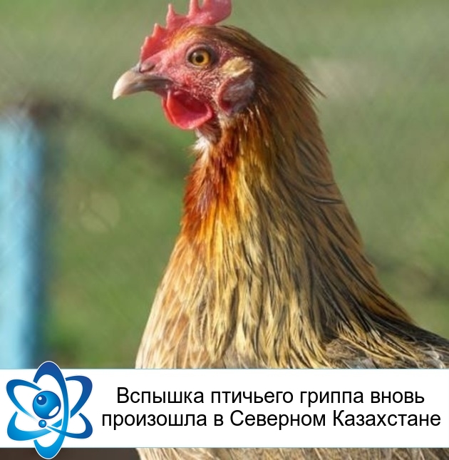 ������� �������� ������ ����� ��������� � �������� ����������