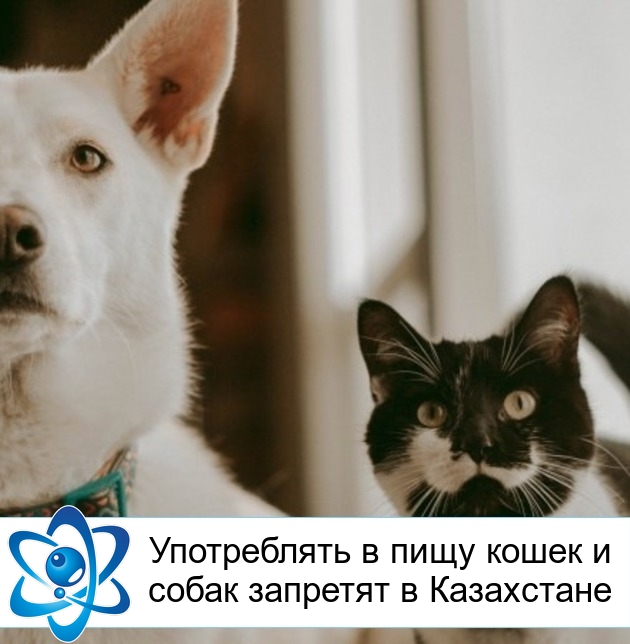 ����������� � ���� ����� � ����� �������� � ����������