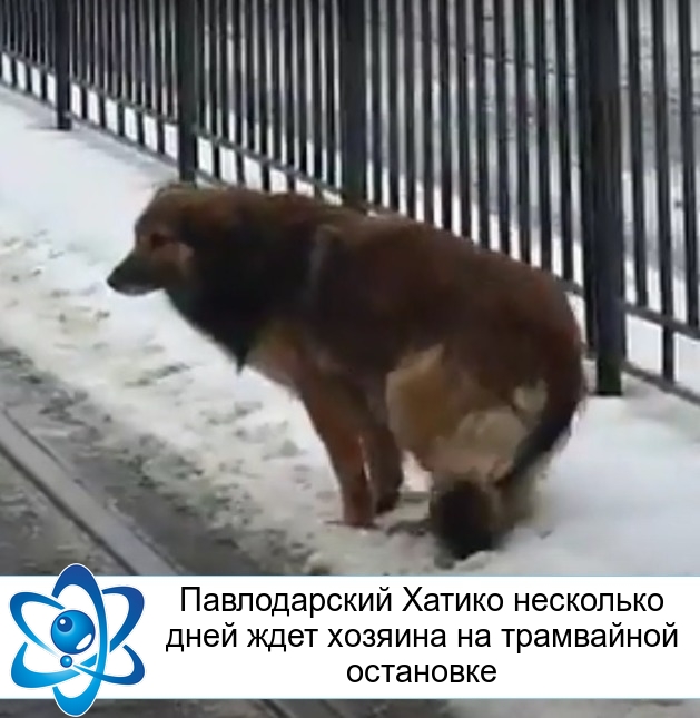 ������������ ������ ��������� ���� ���� ������� �� ���������� ���������