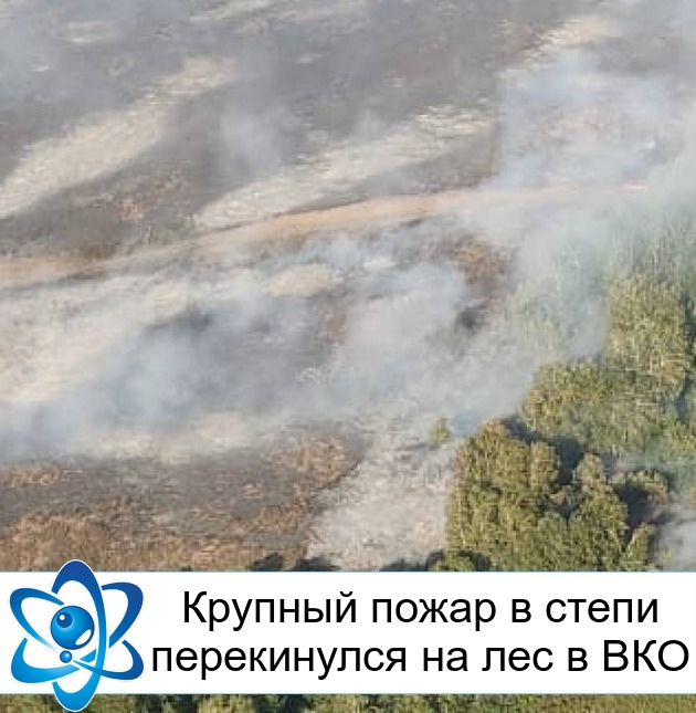 ������� ����� � ����� ����������� �� ��� � ���