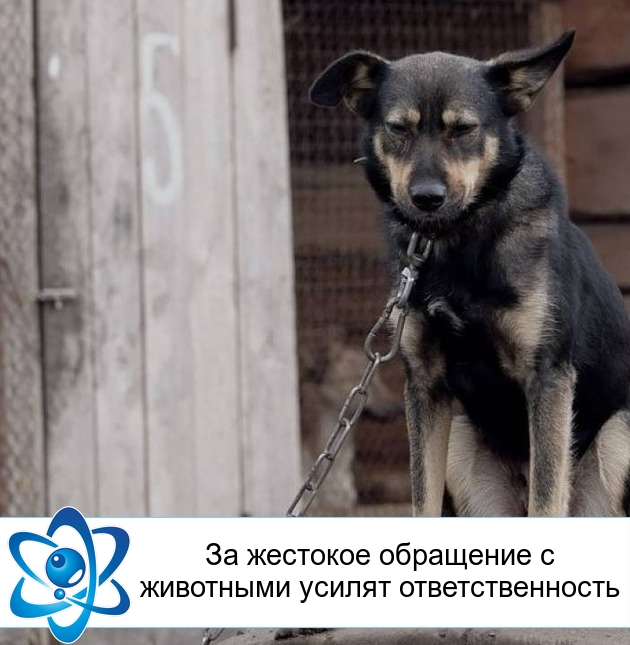 �� �������� ��������� � ��������� ������ ���������������