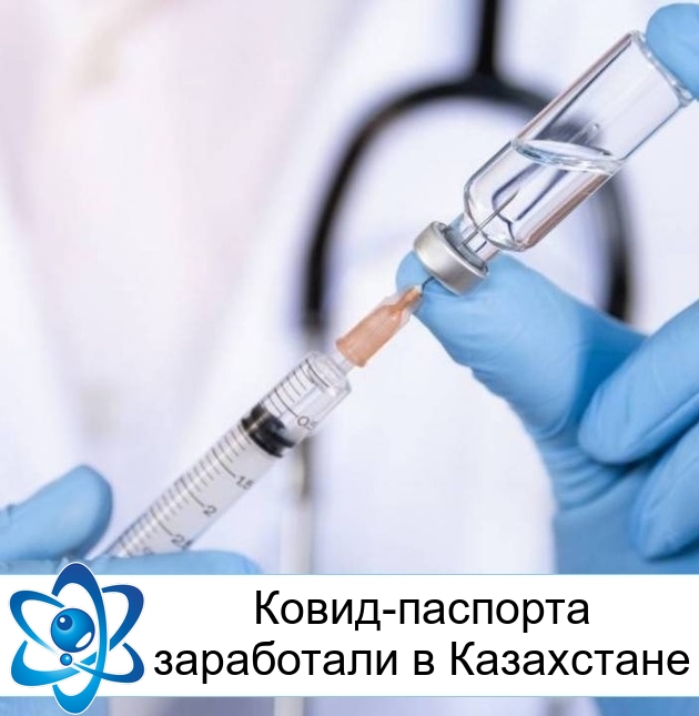 �����-�������� ���������� � ����������