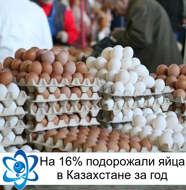 �� 16% ���������� ���� � ���������� �� ���