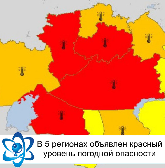 � 5 �������� �������� ������� ������� �������� ���������