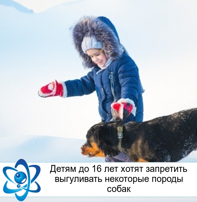 ����� �� 16 ��� ����� ��������� ���������� ��������� ������ �����