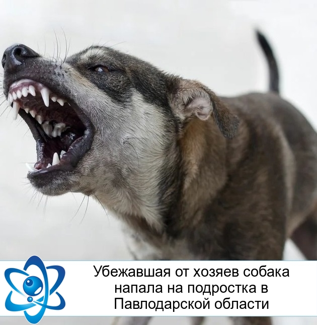 ��������� �� ������ ������ ������ �� ��������� � ������������ �������