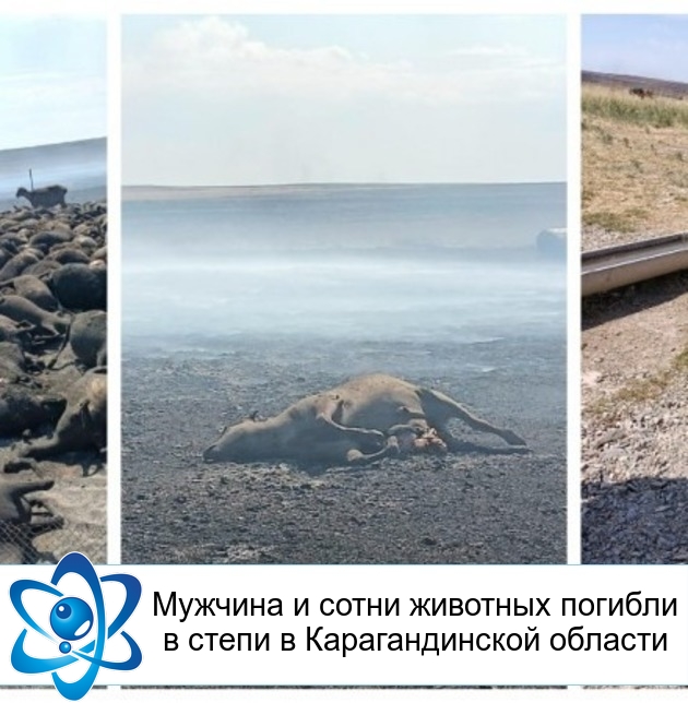 ������� � ����� �������� ������� � ����� � �������������� �������