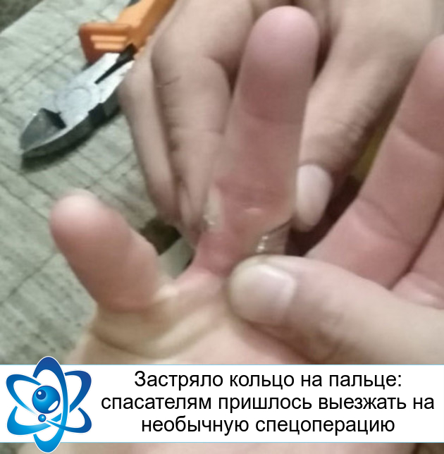 �������� ������ �� ������: ���������� �������� �������� �� ��������� ������������