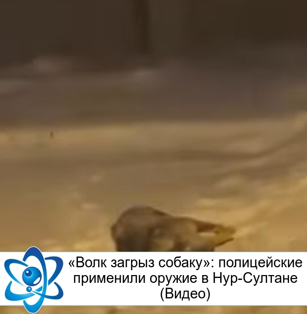 ����� ������ ������: ����������� ��������� ������ � ���-������� (�����)