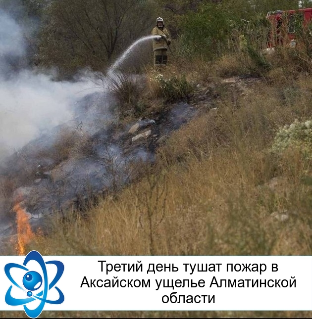 ������ ���� ����� ����� � ��������� ������ ����������� �������