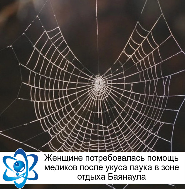 ������� ������������� ������ ������� ����� ����� ����� � ���� ������ ��������