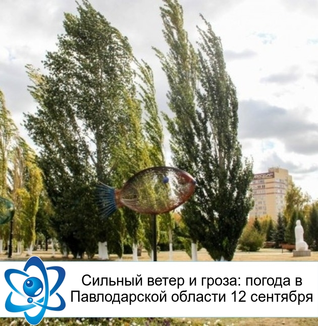 Сильный ветер и гроза: погода в Павлодарской области 12 сентября