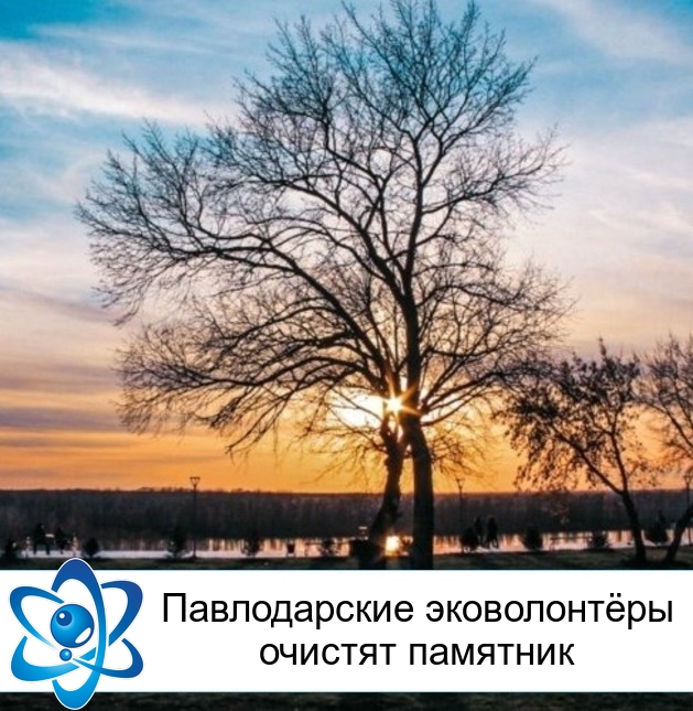 ������������ ����������� ������� ��������