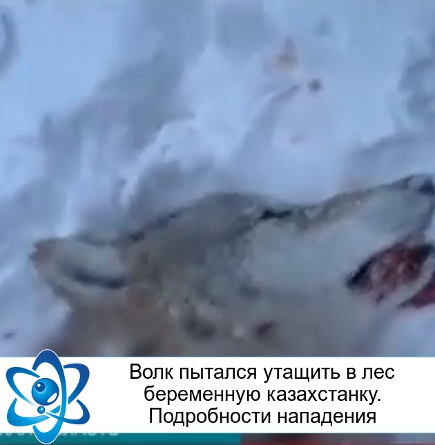 ���� ������� ������� � ��� ���������� �����������. ����������� ���������