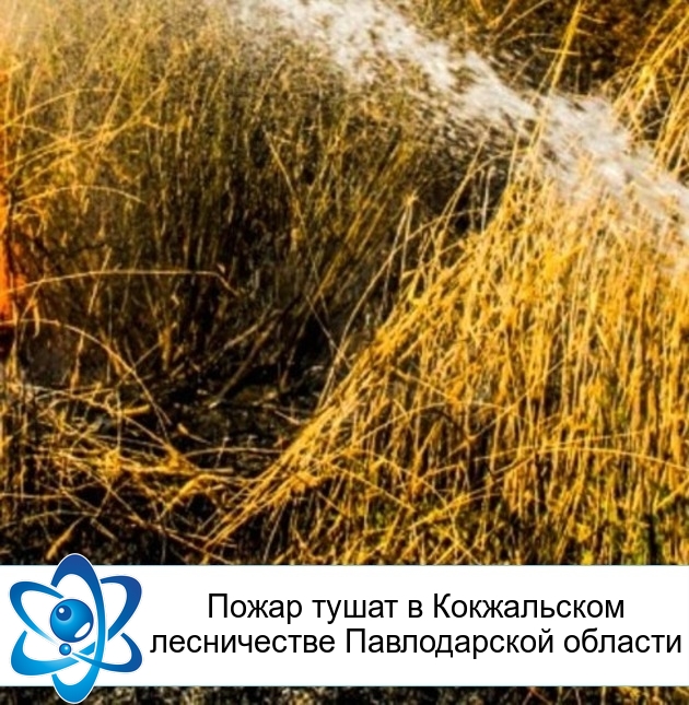 ����� ����� � ����������� ����������� ������������ �������