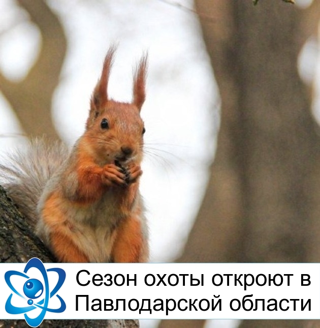 ����� ����� ������� � ������������ �������