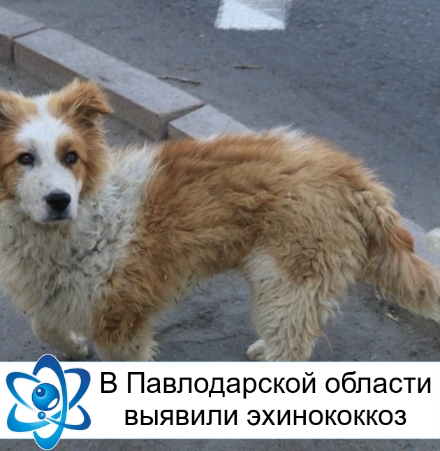 � ������������ ������� ������� �����������