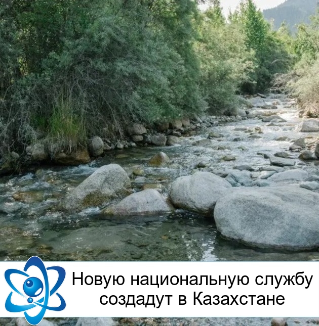 ����� ������������ ������ �������� � ����������