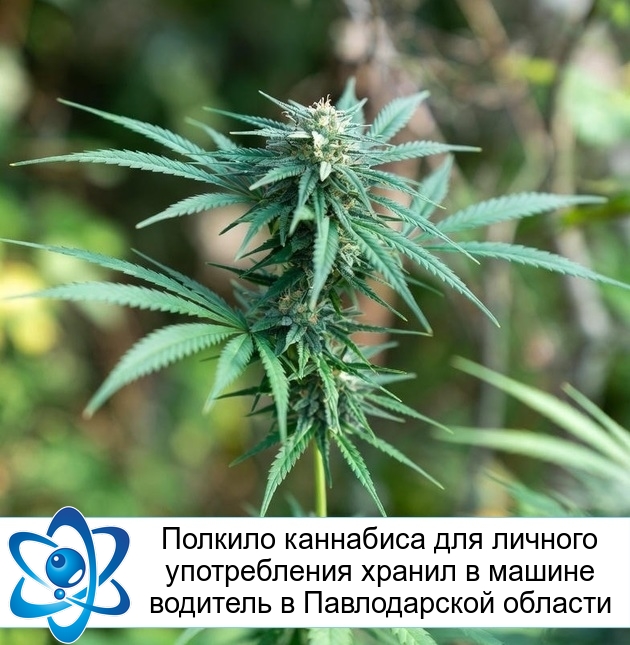 ������� ��������� ��� ������� ������������ ������ � ������ �������� � ������������ �������