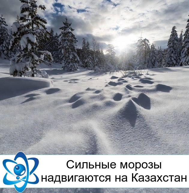 ������� ������ ����������� �� ���������