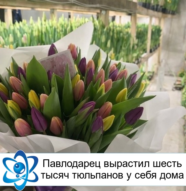 ���������� �������� ����� ����� ��������� � ���� ����