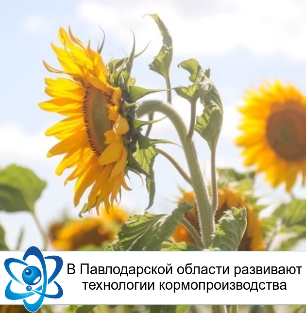 � ������������ ������� ��������� ���������� �����������������