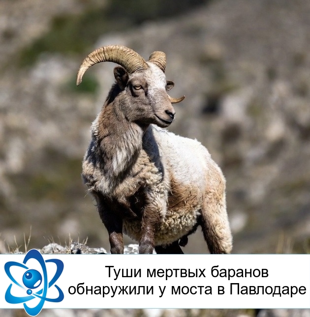 ���� ������� ������� ���������� � ����� � ���������