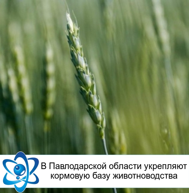 � ������������ ������� ��������� �������� ���� ��������������